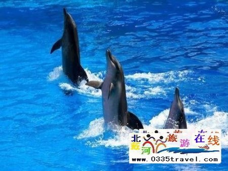 山海關樂島海洋公園