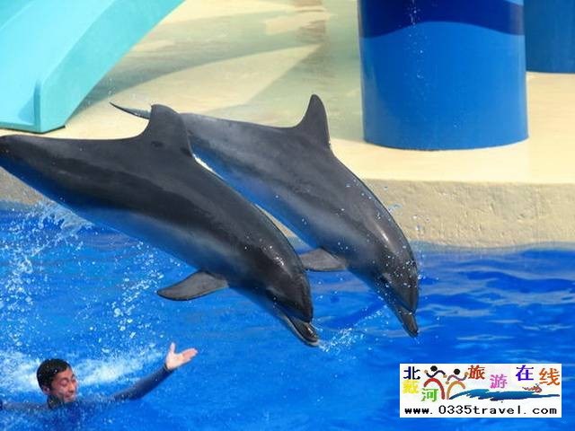 圣藍皇家海洋公園