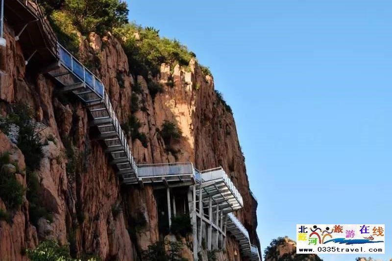 秦皇島龍?jiān)乒龋∩叫闼┚皡^(qū)電話18633570222  15703350808