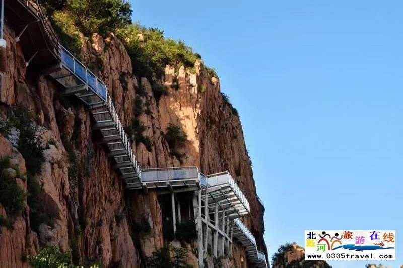 秦皇島龍?jiān)乒龋∩叫闼┚皡^(qū)電話18633570222  15703350808