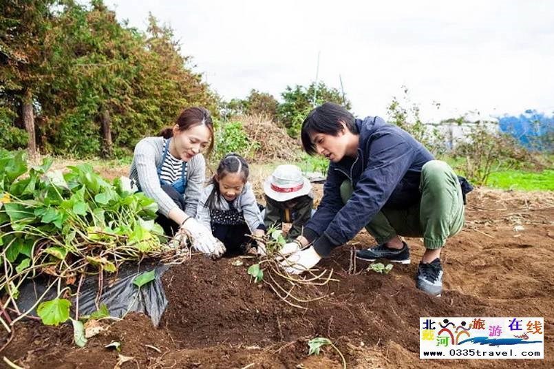 北戴河集發(fā)夢想王國電話18633570222  15703350808