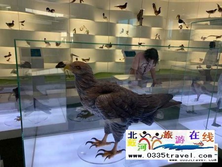 秦皇島北戴河鳥類博物館