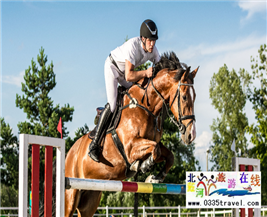 [秦皇島] 秦皇島北戴河超硬核馬術(shù)俱樂部集錦——兒童馬術(shù)課程：英倫國際馬術(shù)俱樂部、仁軒馬術(shù)俱樂部、阿那亞馬會