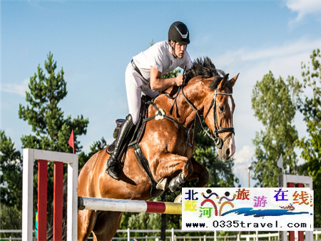 秦皇島北戴河馬術(shù)俱樂部電話18633570222
