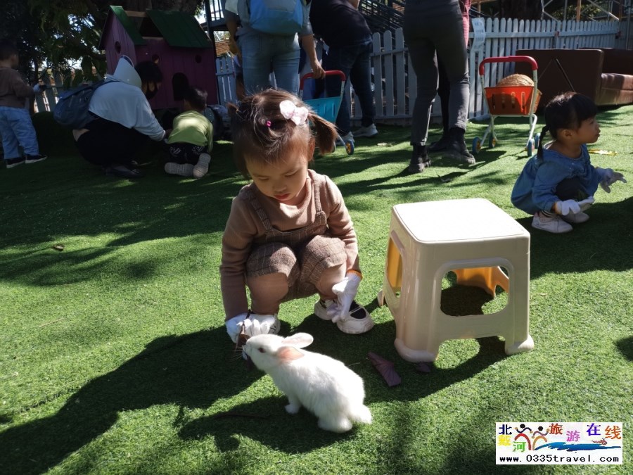 秦皇島花西兔窩窩親子樂(lè)園電話18633570222